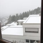 33265 Fenster