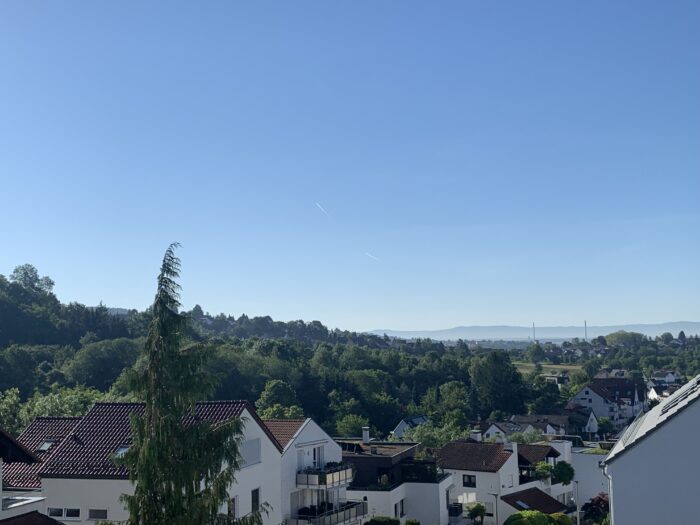 Bilder 314 13