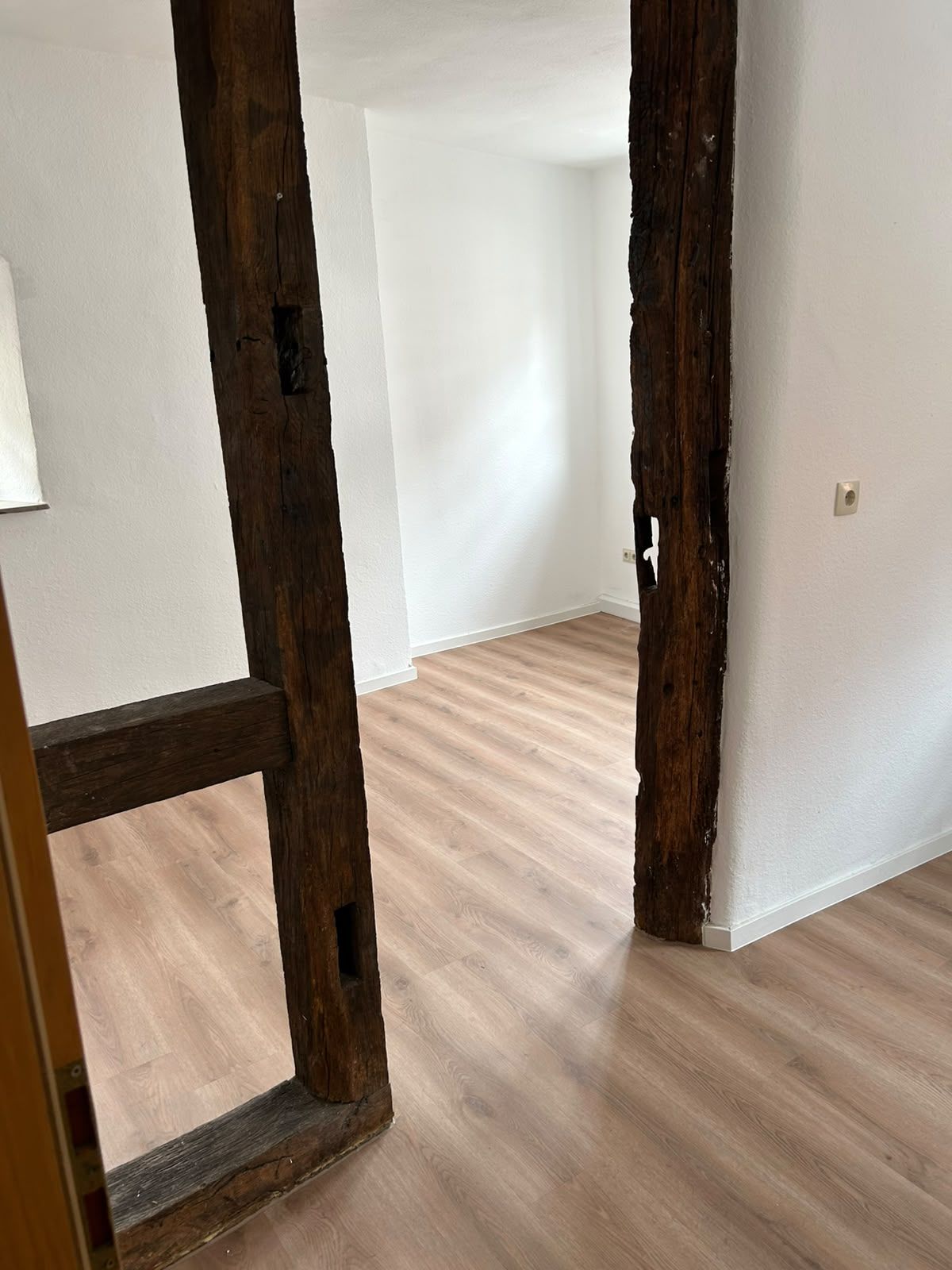 Bilder 319 4