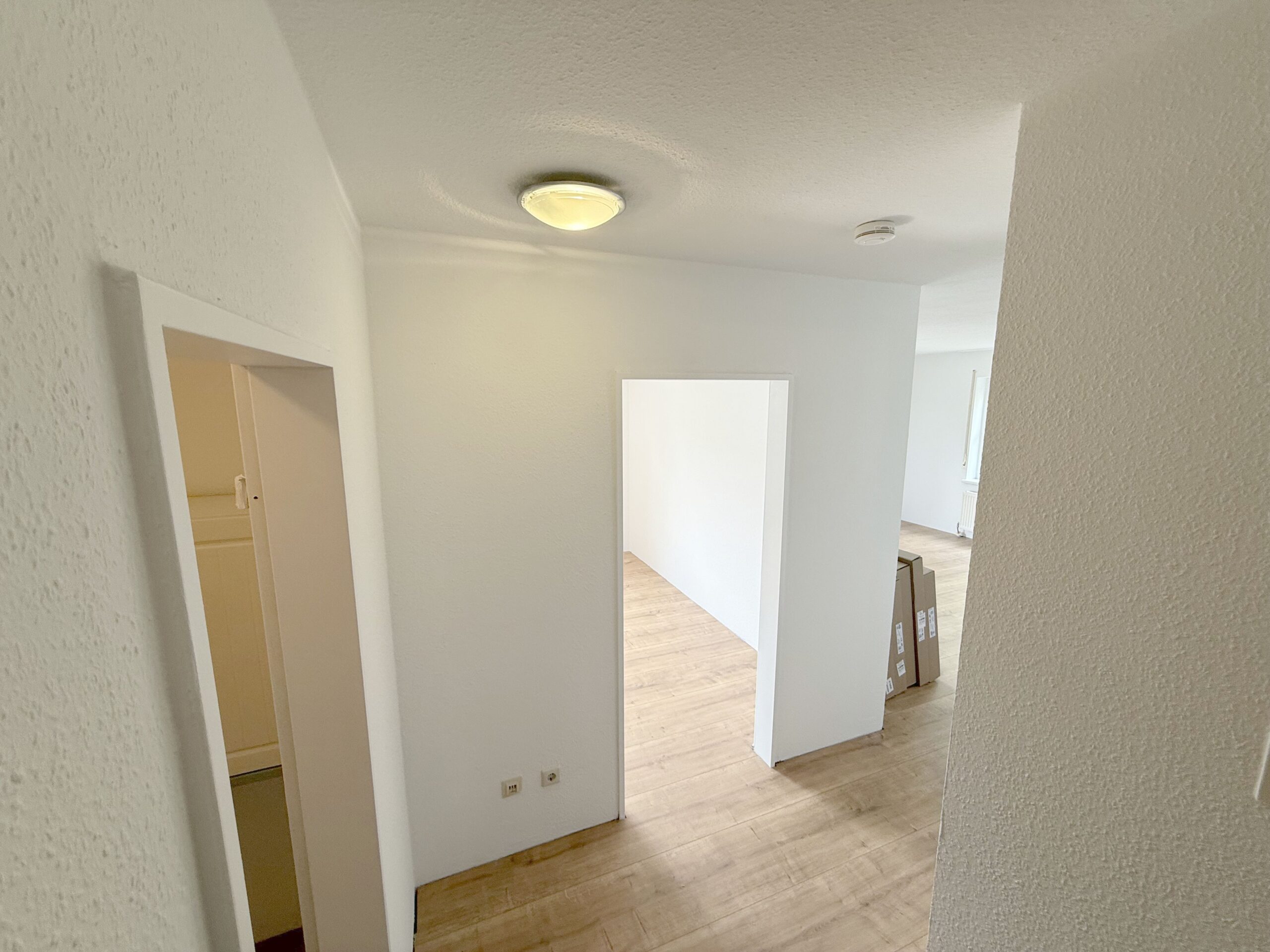 Bilder 232 4